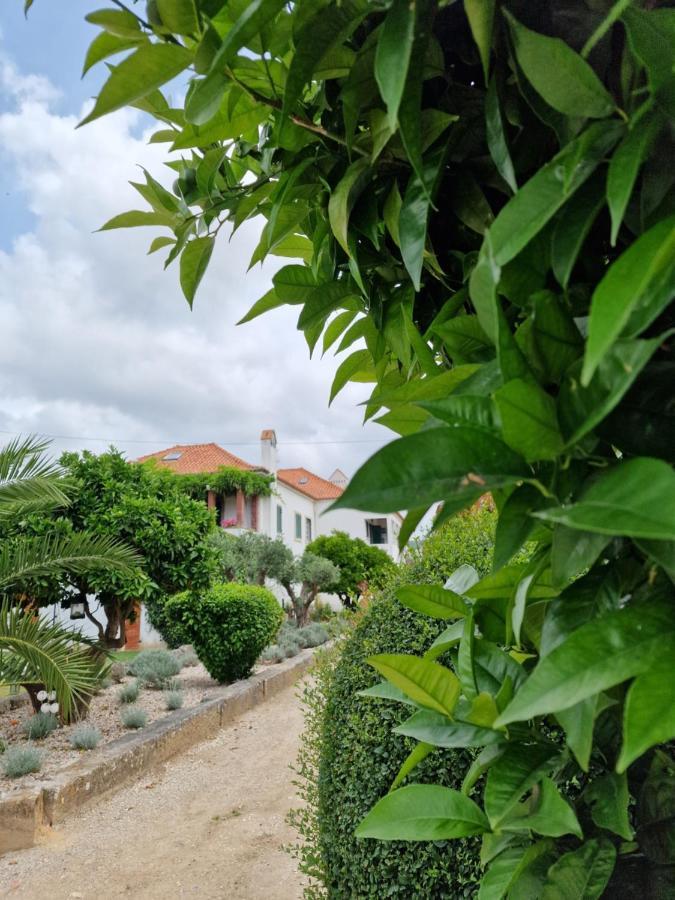 Casa Nikana Turcifal Ngoại thất bức ảnh